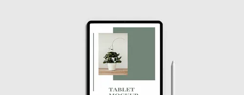 Tablet displaying a minimalist plant photo on a white background.